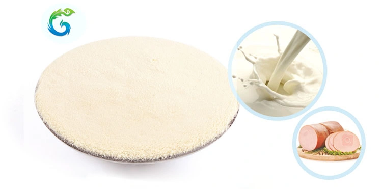 Food Grade Collagen Powder