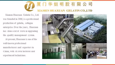 Gelatina de peixe em preço de fábrica Gelatina de peixe comestível