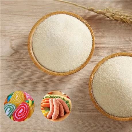 Atacado Gelatina de Peixe em Pó